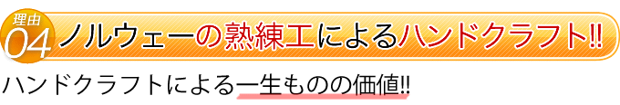 ��ͳ����4�ĥΥ륦�����������Υϥ�ɥ���եȤˤ�������Τβ���!