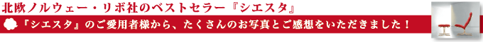 シエスタご愛用者さまタイトル
